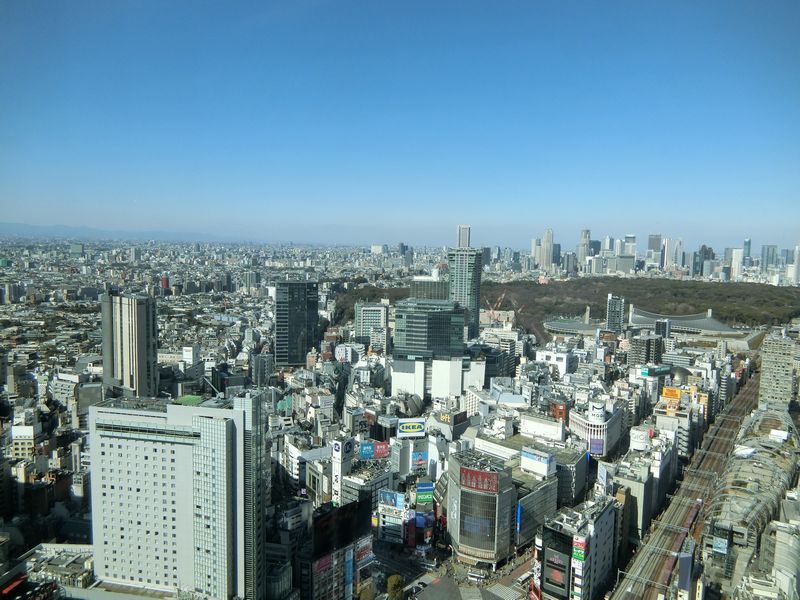 Sibuya Sakura Stage 上階から見た都心の風景（代々木方面）