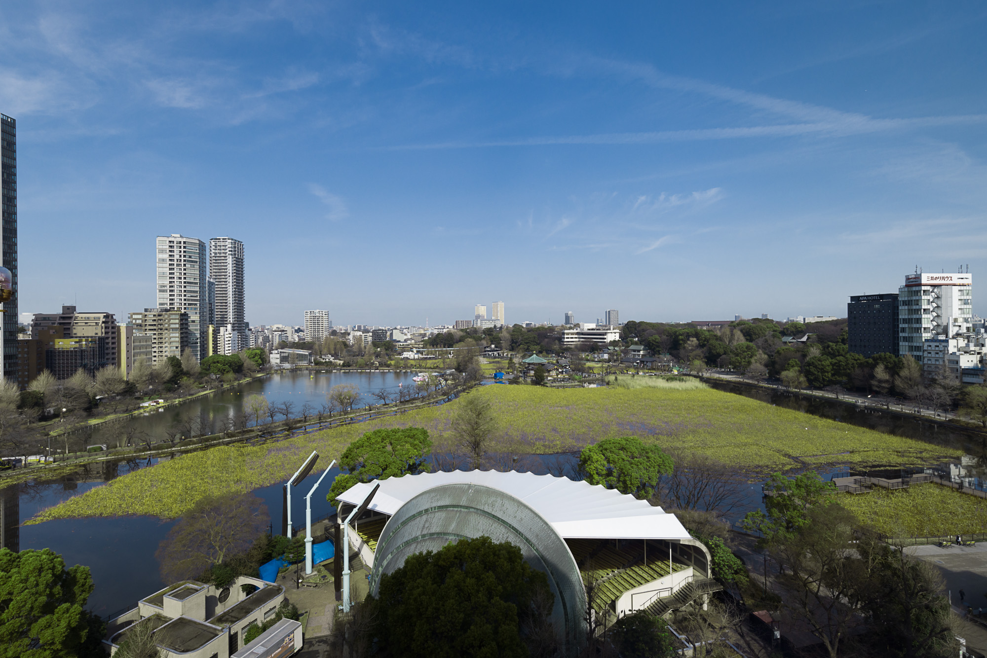 大浴場から眺める不忍池・上野公園